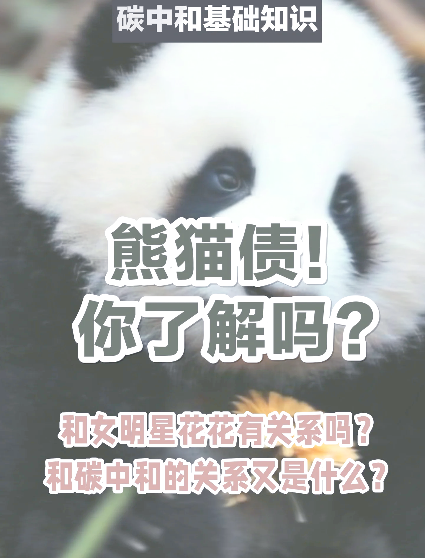 摩根士丹利成功发行20亿元熊猫债 系首单由总部位于美国的公司发行的熊猫债