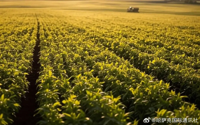 联合国粮农组织与尼日尔签署融资协议