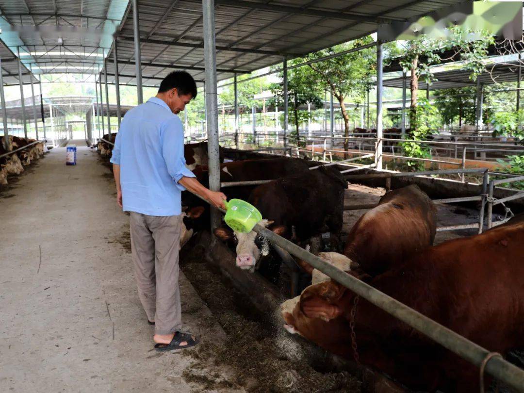 武汉天源：联合中标水质净化厂存量资产盘活及提质增效项目