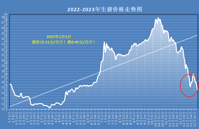 兄弟科技：近期维生素B1产品价格有一定幅度上涨