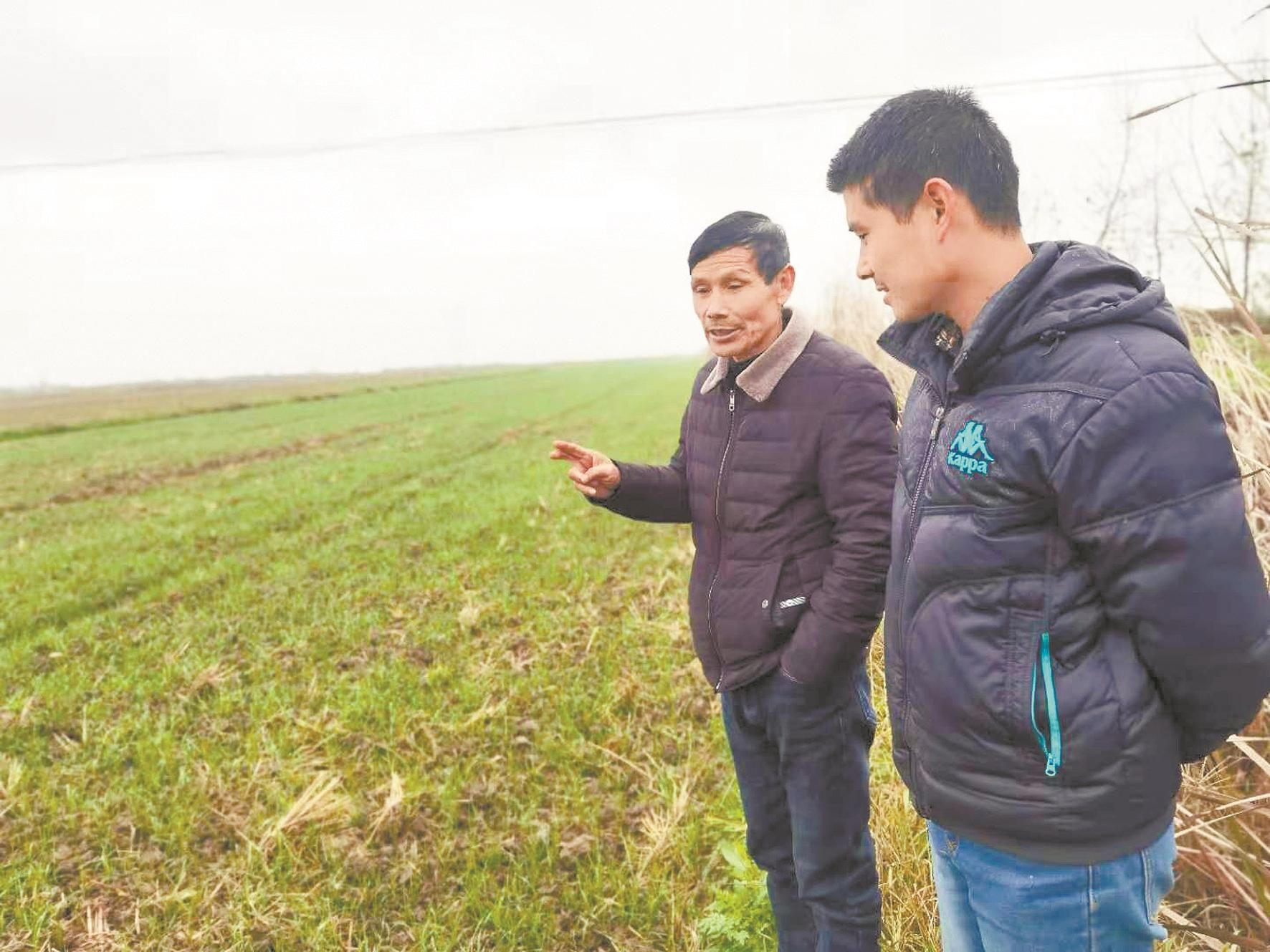 净化直播生态走向价值耕耘