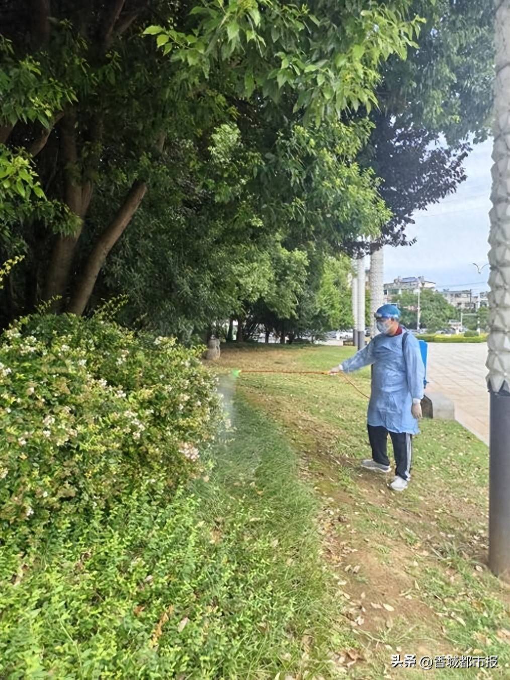 佛山开展为期7天的全市成蚊消杀重点攻坚行动