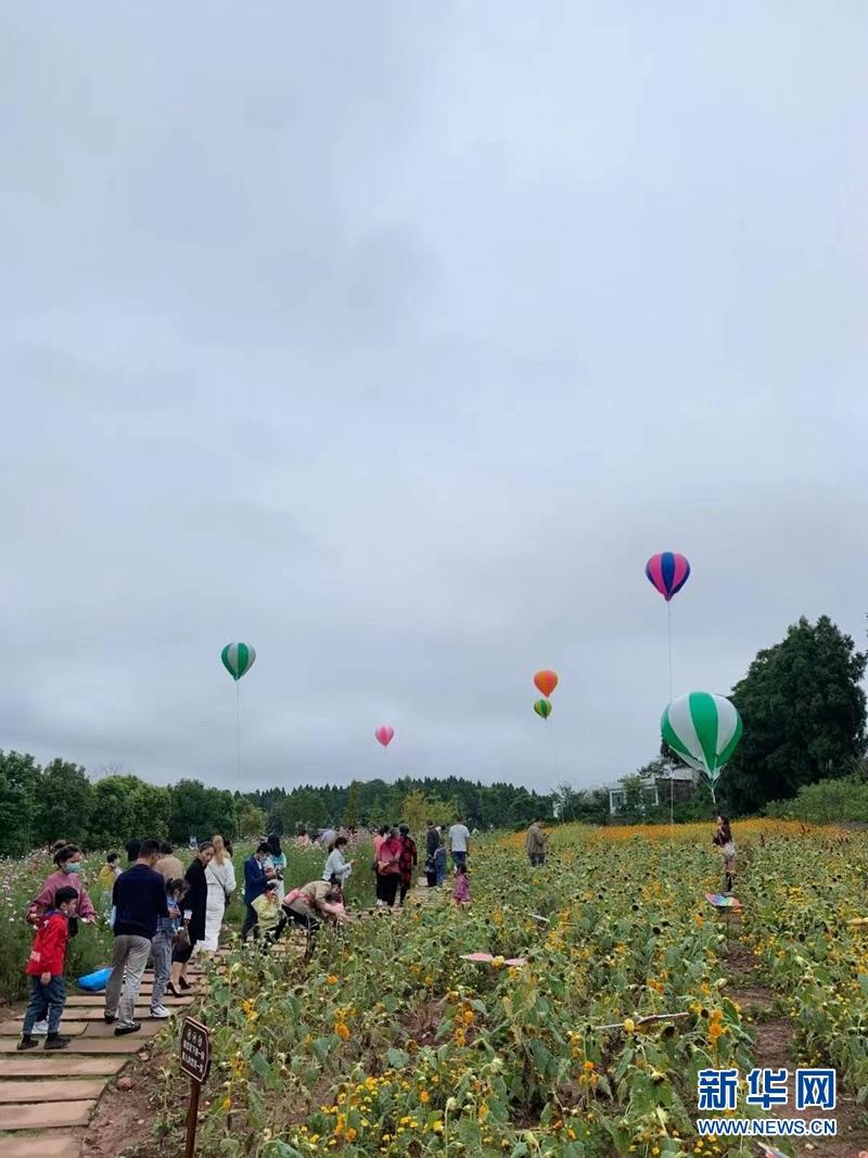 天府文旅录得5天3板