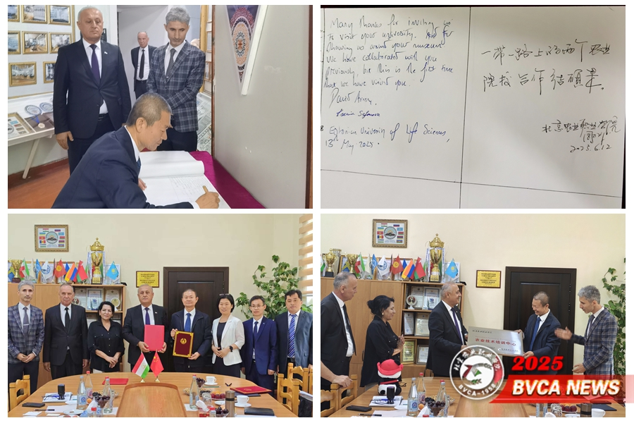 2025年上半年塔吉克斯坦电动汽车保有量为3.4万辆