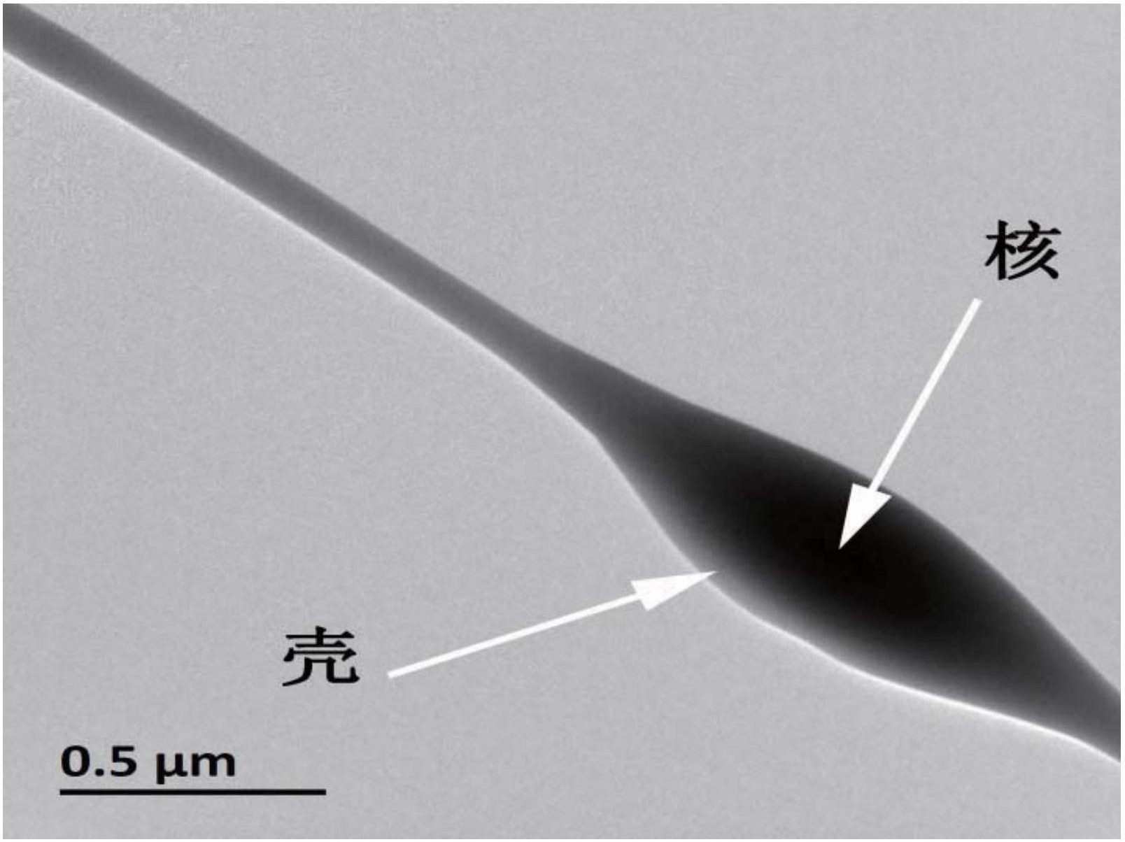 中国石化获得发明专利授权：“一种用于培养厌氧颗粒污泥复合核的制备方法及其应用”