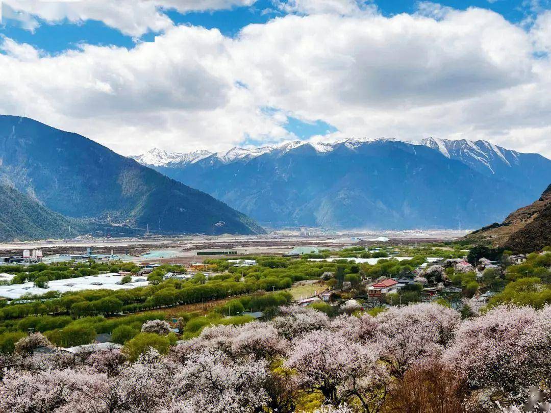 西藏基础设施不断完善 2024年底公路通车总里程达12.49万公里