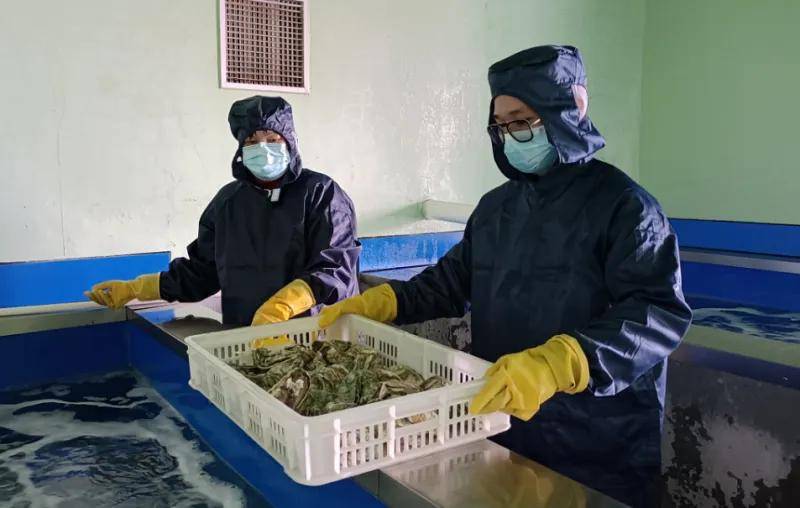 全球首例深远海智能渔业养殖平台从江苏南通起航