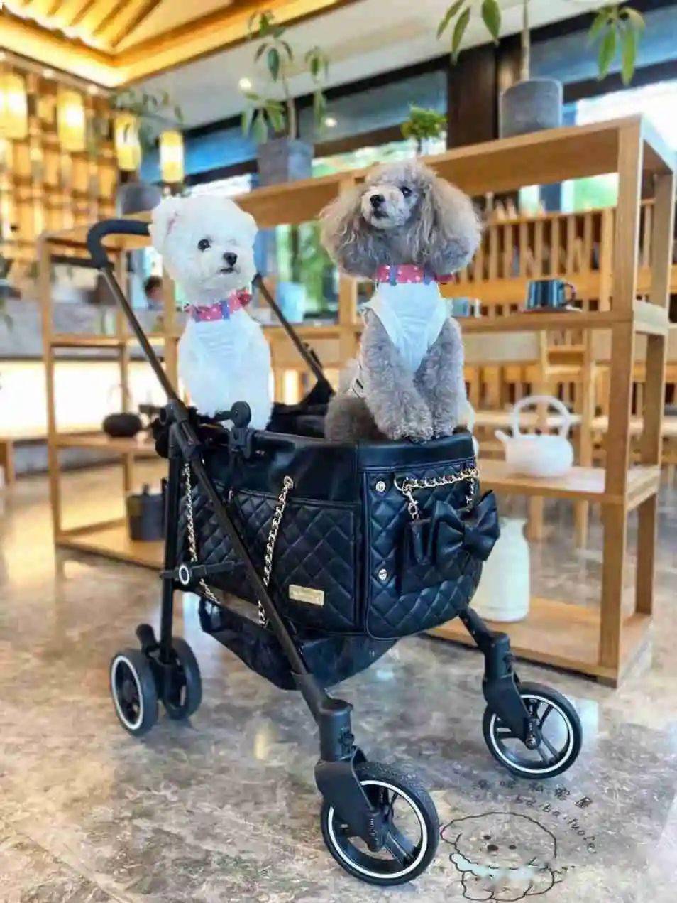 天元宠物：构建宠物生态链强化核心竞争力