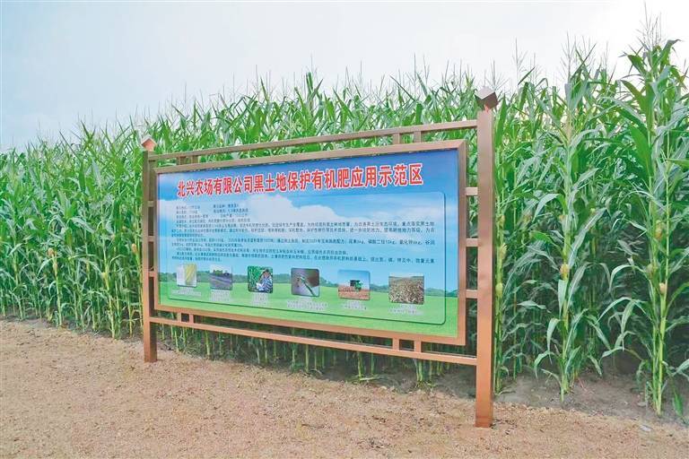 蒋飞：反内卷与市场化改革