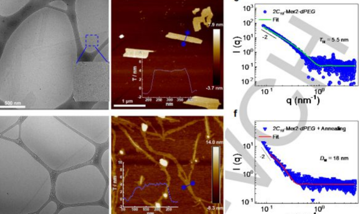 中国科学家创出蛋白靶向降解技术为“隐身”肿瘤细胞打上“身份标签”