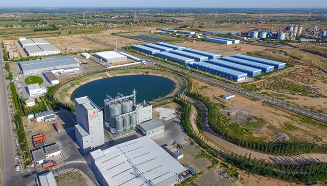 晓鸣股份：2025年12月鸡产品销售收入同比下降37.07%