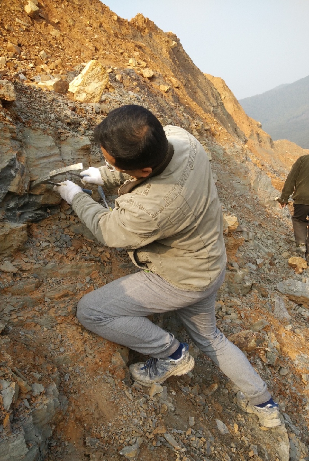 我国科研团队研究成果为提升钙钛矿电池稳定性提供新思路