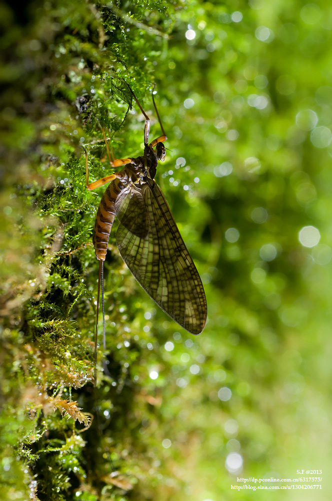 生态颠覆行业｜微观视界