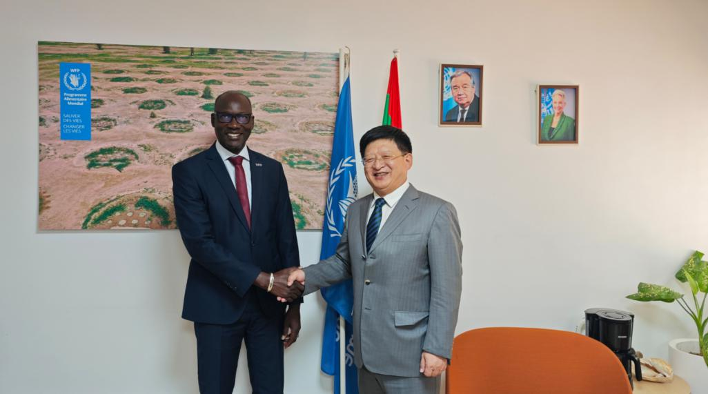 唐中东大使考察援毛里塔尼亚农业技术示范中心