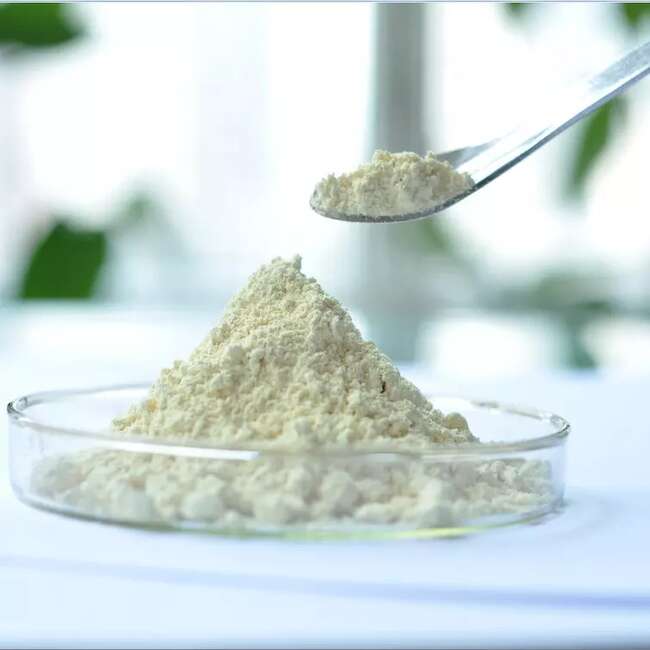 方盛制药：原料药生产转移检查不符合要求 但不会对生产经营产生实质性影响