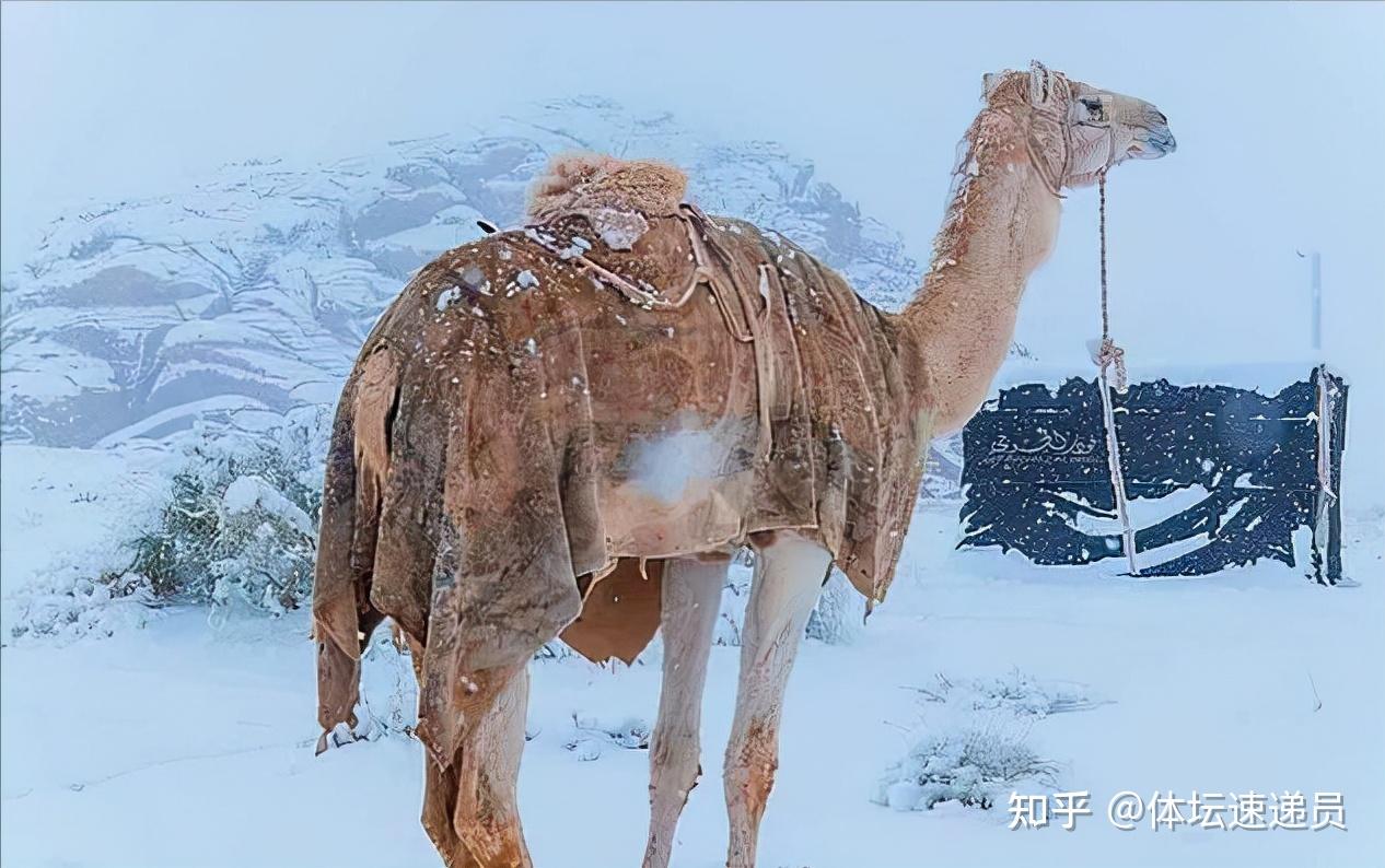 阿尔及利亚科研成果转化加速：产值有望2027年增至50亿第纳尔