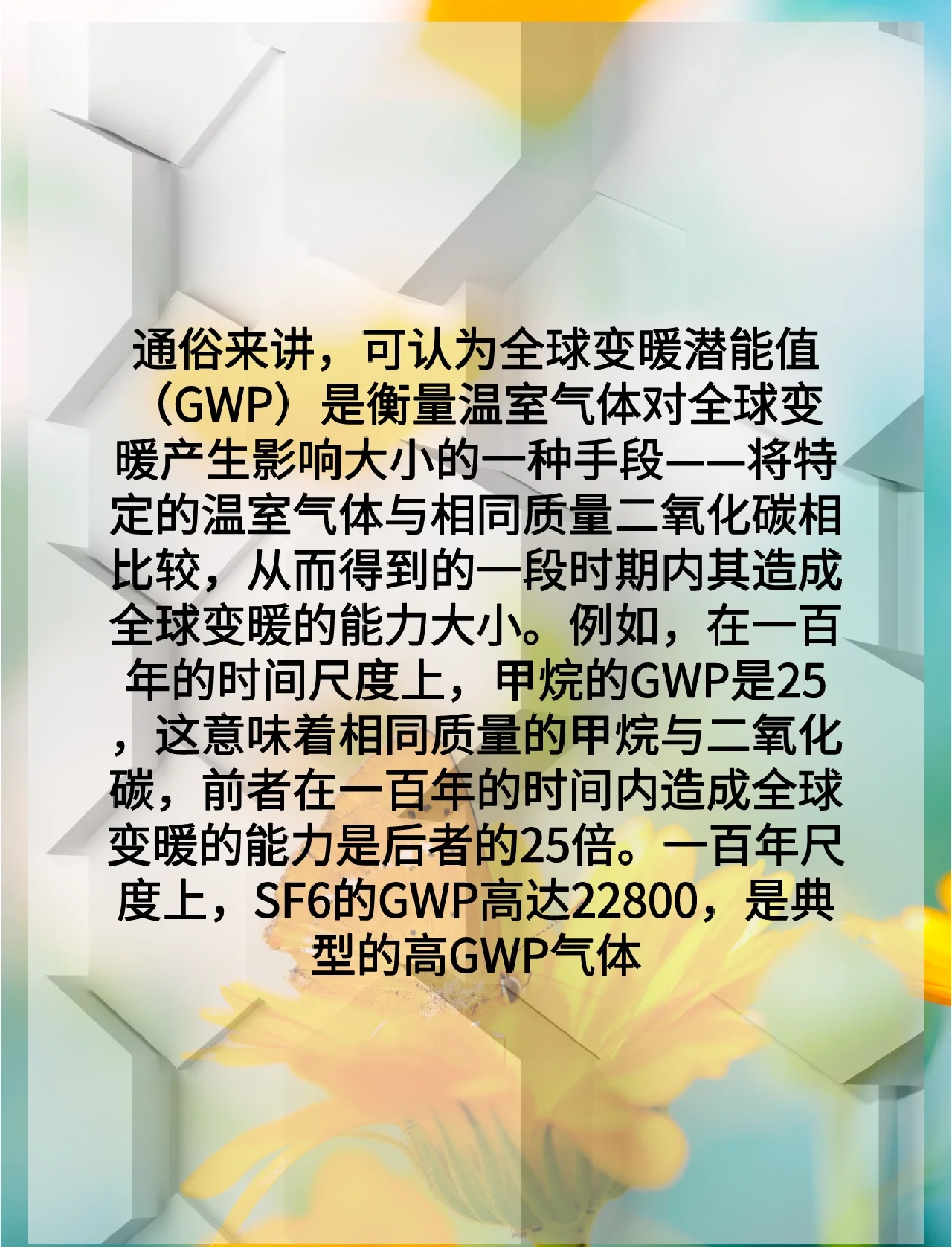 温室农业成为利比里亚应对气候危机与粮食安全的关键希望