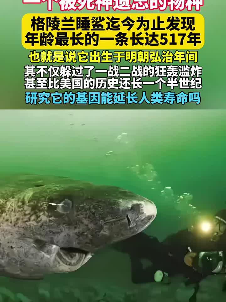 研究发现格陵兰睡鲨可对抗心脏衰老影响