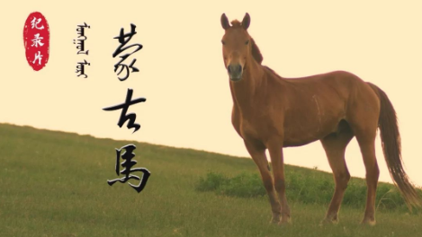 蒙古全国牲畜存栏总量达5810万头