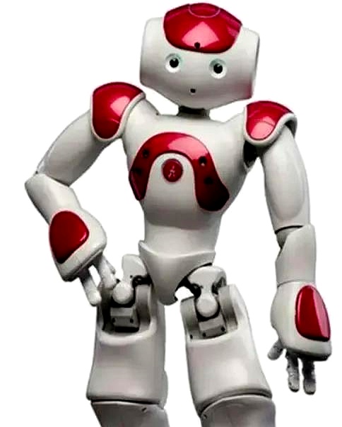 “巧手机器人”实现双面抓握与自主爬行