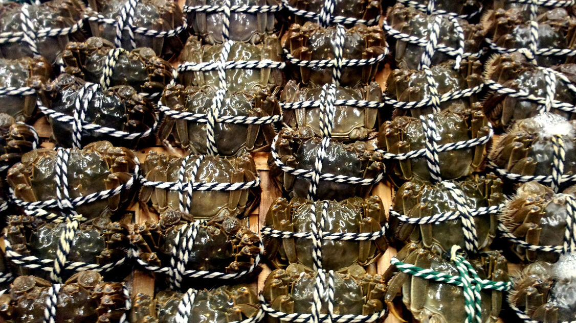 连续两年旺季遇冷，全年门店净增长的元祖股份，难解盈利下滑难题