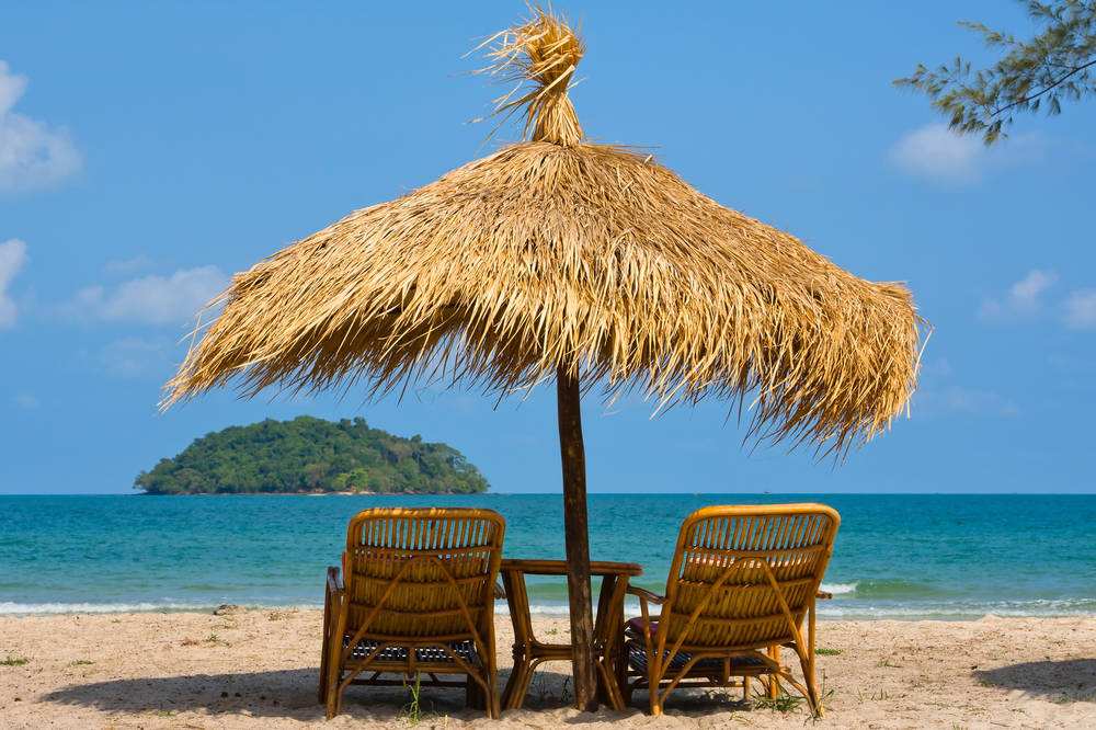 温氏股份：公司发展规划有明确的量化目标