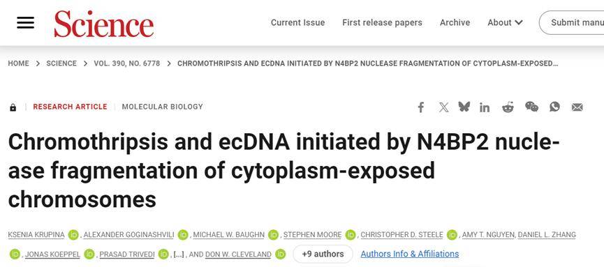 科学家刊文称：发现影响癌症进展的关键细胞