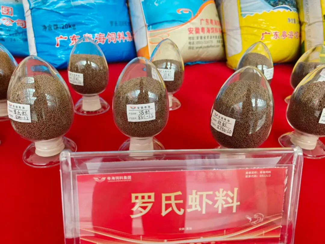 粤海饲料：2025年上半年以来公司前三季度已实现扭亏为盈