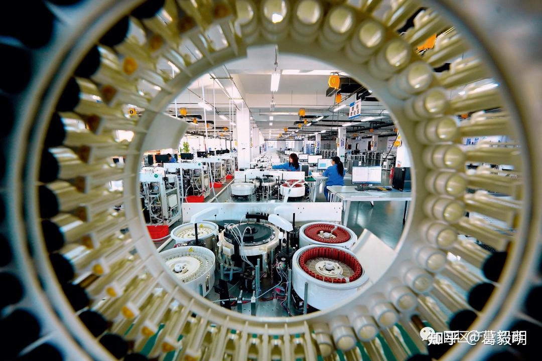 推动系统性重构 新五丰寻求穿越周期