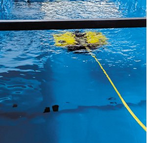 斯里兰卡政府推出产业融资改革方案 缓解企业融资难题推动生产型经济转型