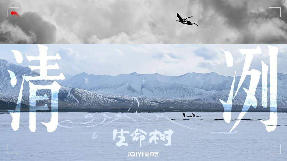 八年磨一剑!杨紫胡歌深入无人区,爱奇艺开年大剧《生命树》定档