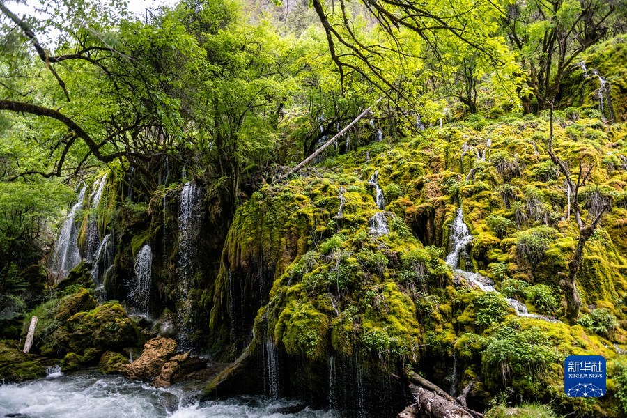 云南迪庆州香格里拉市发生3.0级地震