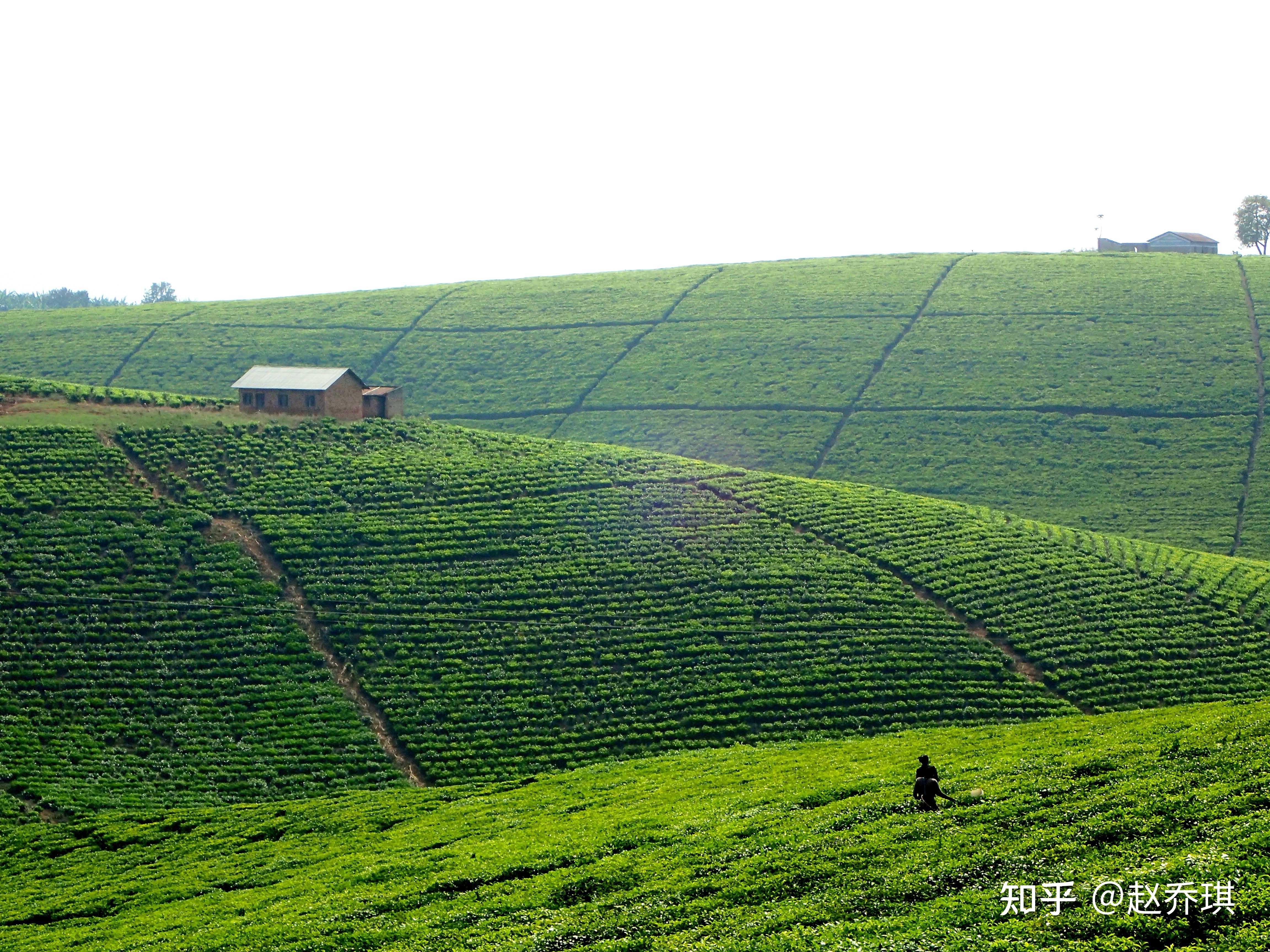 中企自研油气装备在乌干达创造钻探深度新纪录