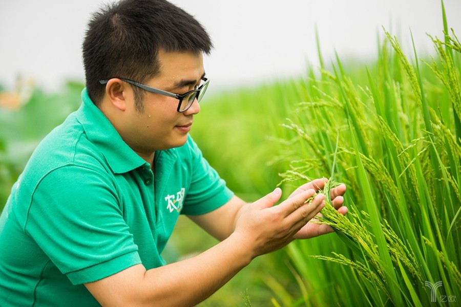 天合光能30亿元ABS成功发行