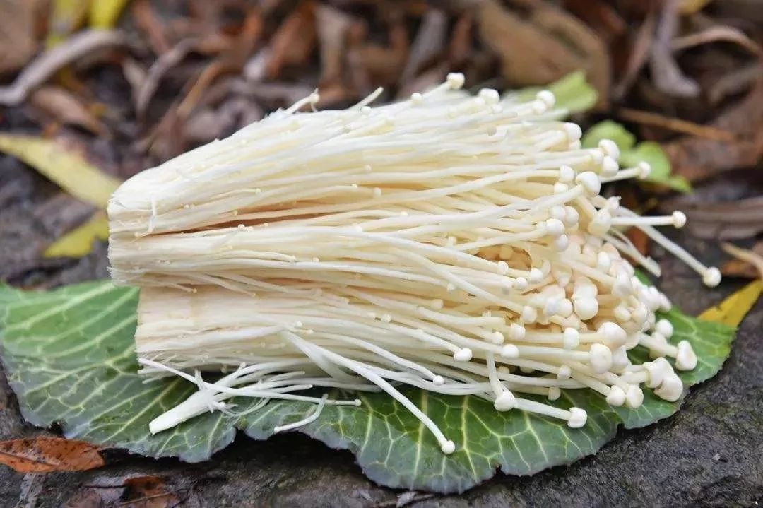 华绿生物：公司目前鲜品灰树花的日产能约为6吨