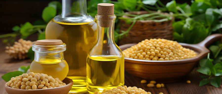 道道全：拟向大商所申请豆油交割库资质