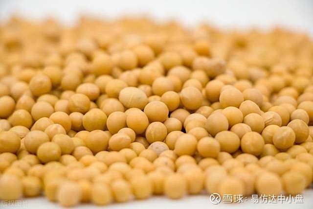 道道全：拟向大商所申请豆油交割库资质