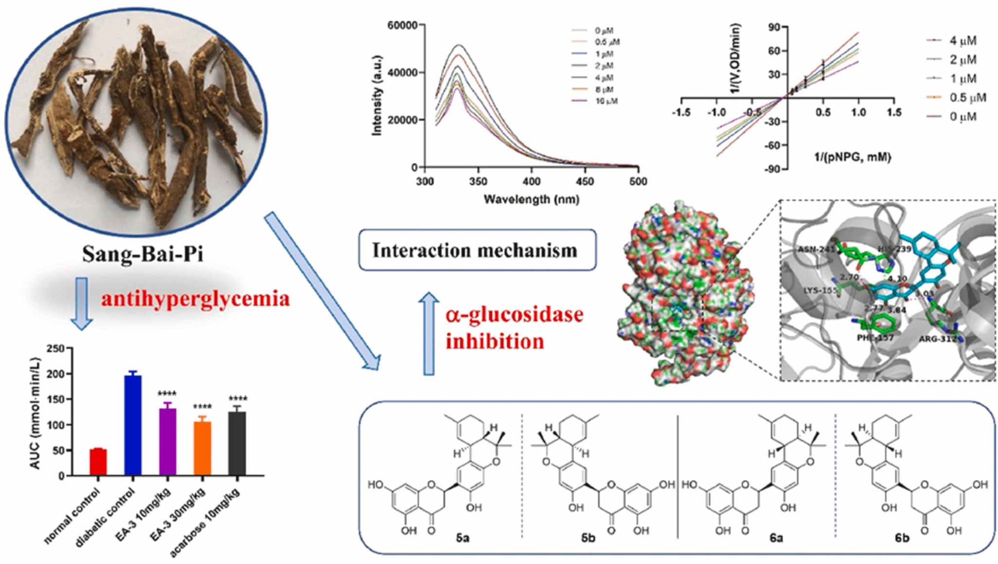 康辰药业公布国际专利申请：“TACC抑制剂化合物、药物组合物及其制备方法和应用”