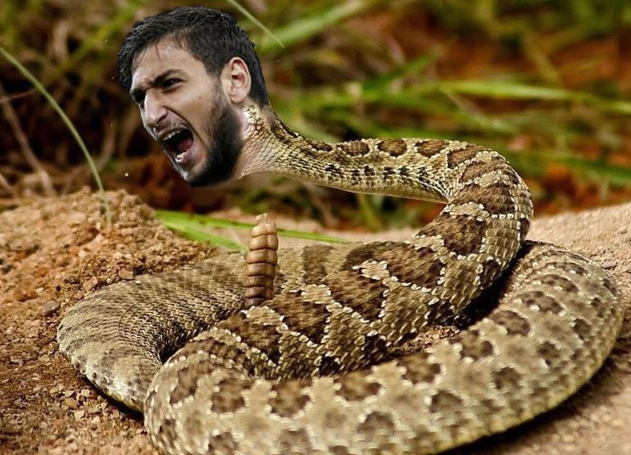 年薪最高50万元招人才去越南，目标或是在当地建楼房猪舍！中国巨头大手笔布局海外市场