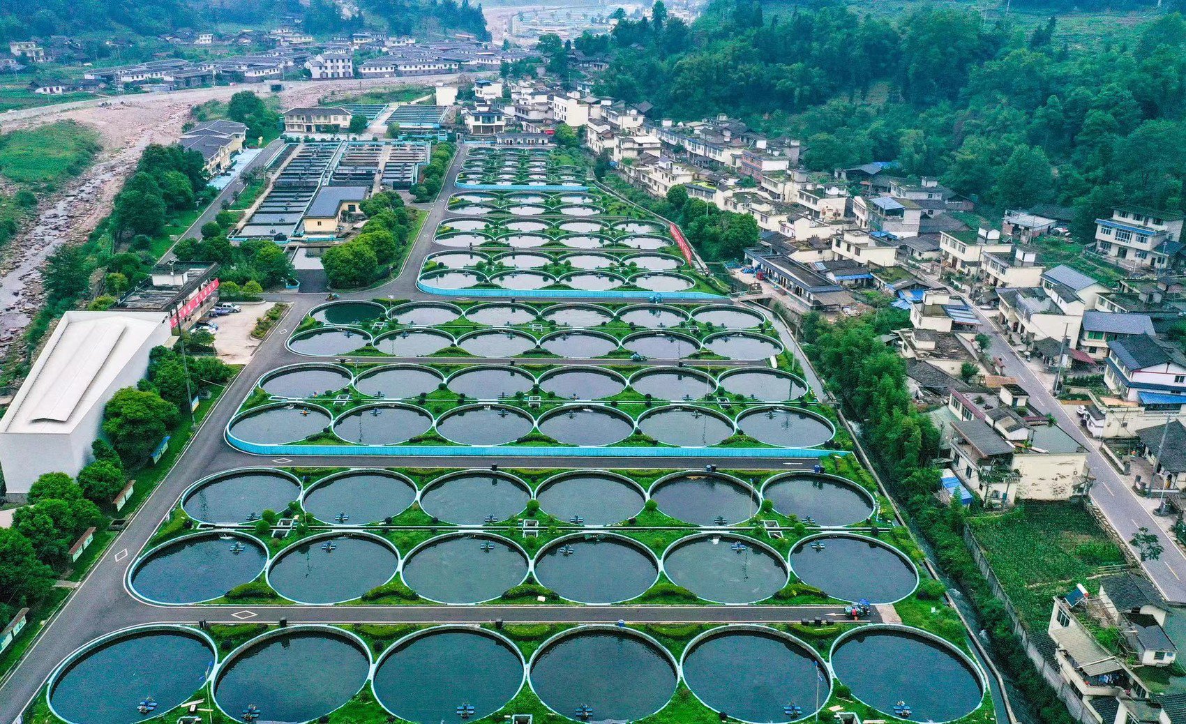 农业农村部：要保障优质水产品供给 保护渔业资源环境