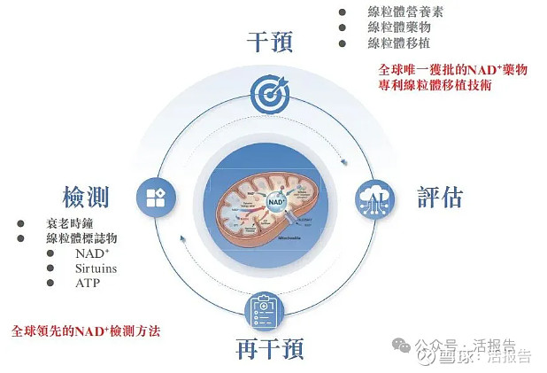 易慕峰生物递表港交所 华泰国际担任独家保荐人