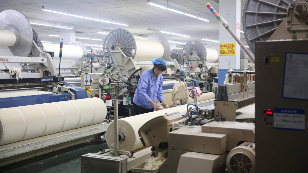 核心养鸡业务疲软,转型尚未破局,立华股份预计2025年盈利骤降超六成