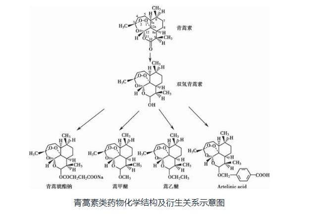 青蒿素之后，又一款从源头创新的救命药在中国诞生