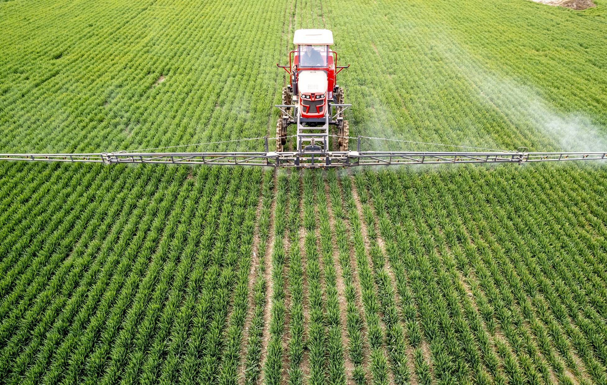 中央财政统筹安排12.5亿元 积极支持冬小麦促弱转壮