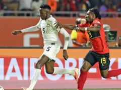 2025年津巴布韦柑橘出口量增长9%