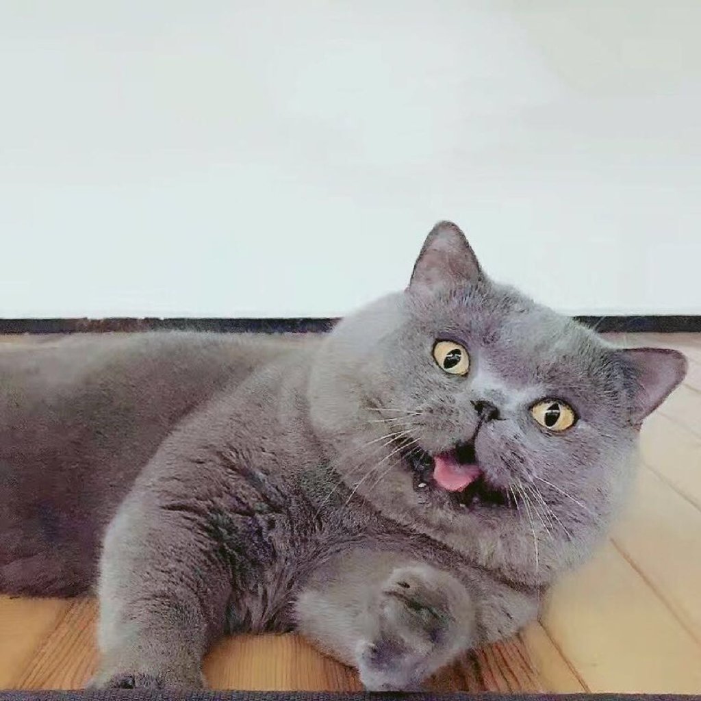 兴发集团获得发明专利授权：“一种低温熔融输运制备黑磷晶体的方法”