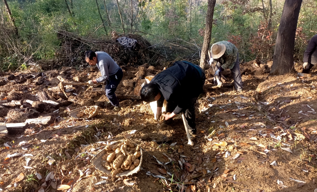 四部门印发《关于统筹建立常态化金融支持机制 助力防止返贫致贫和乡村全面振兴的意见》