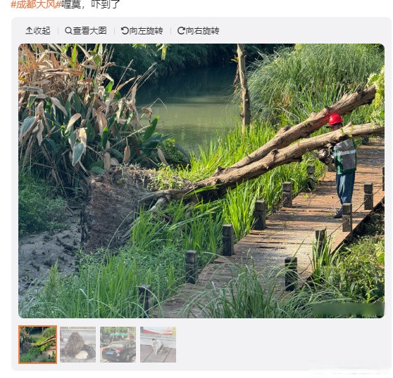 深夜，全线大跌！“超级风暴”突袭！