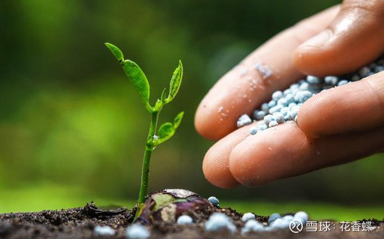 化肥概念涨4.52%，主力资金净流入44股