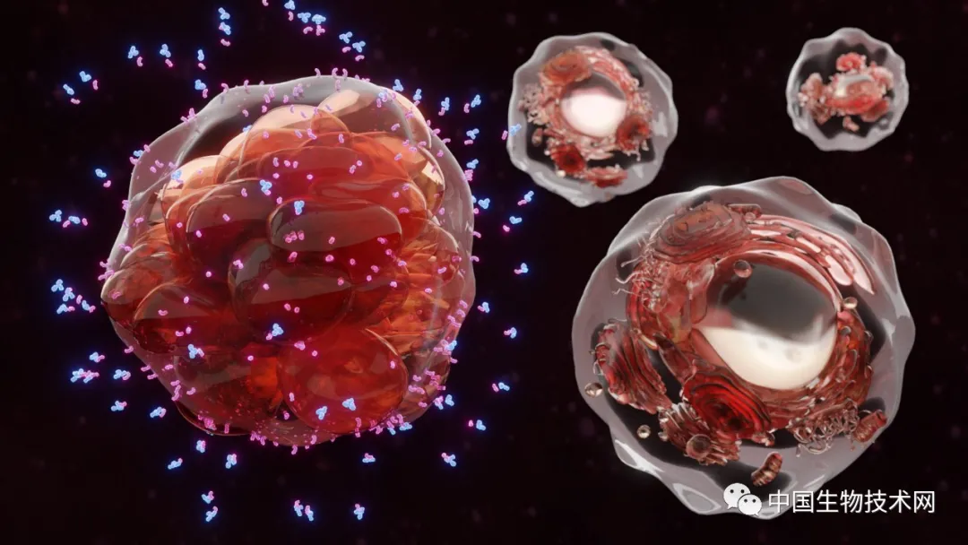 中国研究团队发现全球儿童癌症负担不平等加剧